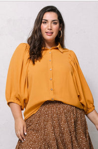The Mango Top